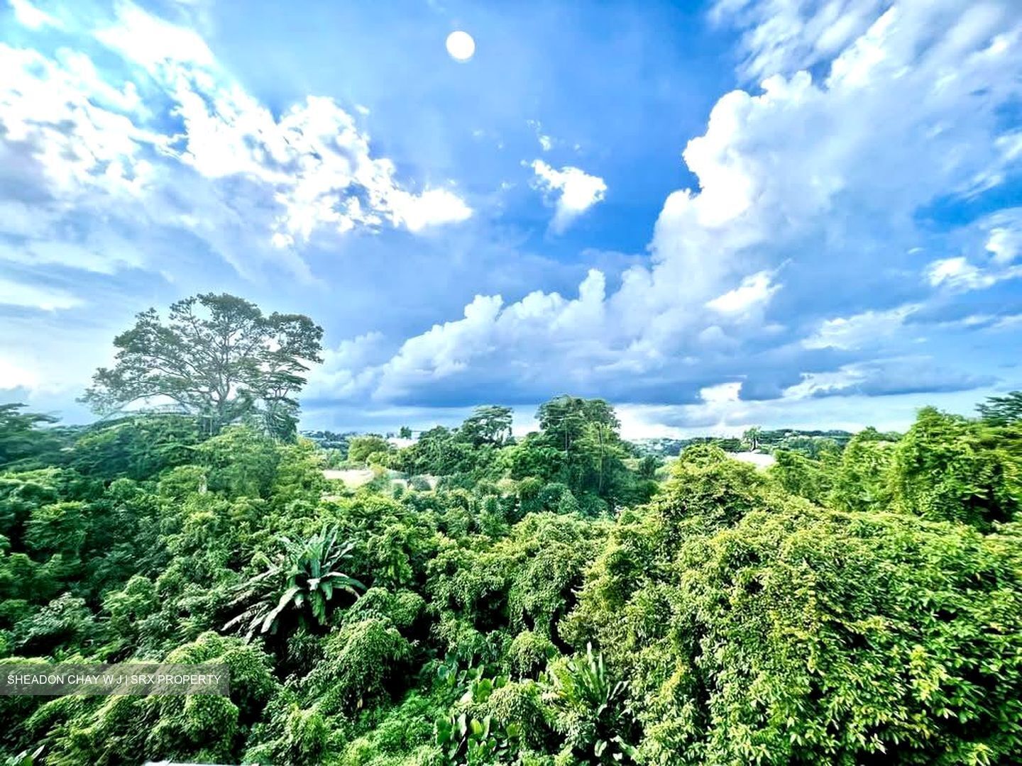 Ban Guan Park (D10), Semi-Detached #560799681